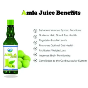 Pure Amla Juice - Image 2