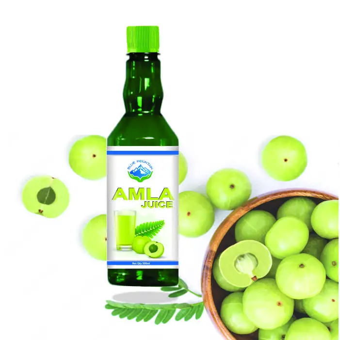 Pure Amla Juice - Image 1