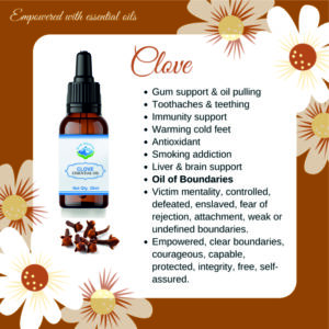 Clove Essential Oil - Image 2