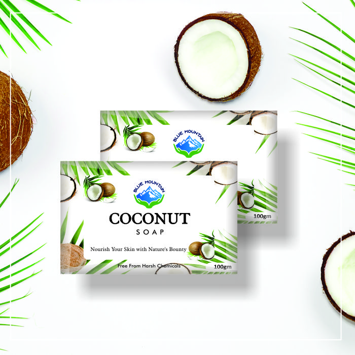 Handcrafted Coconut Soap - Image 1