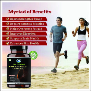 Himalayan Shilajit - Image 2